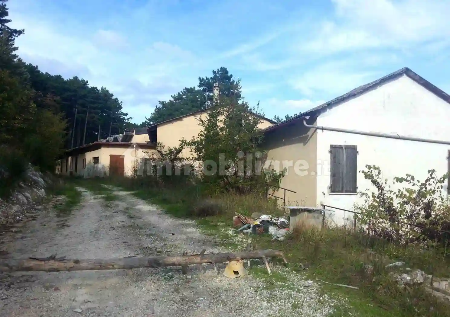 Palazzo - Edificio - foto 5