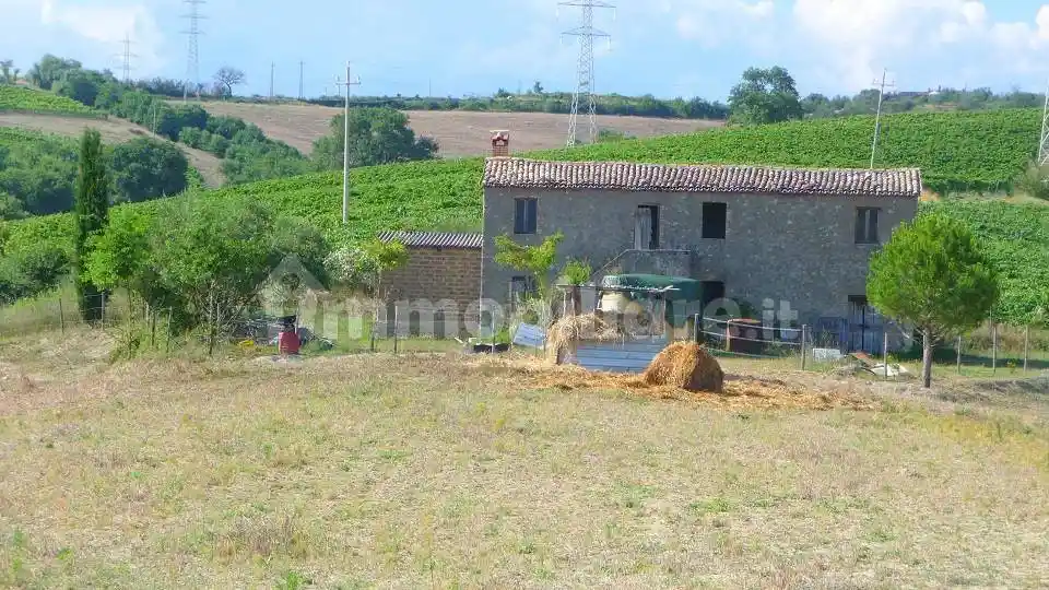 Rustico - Casale in vendita a Baschi