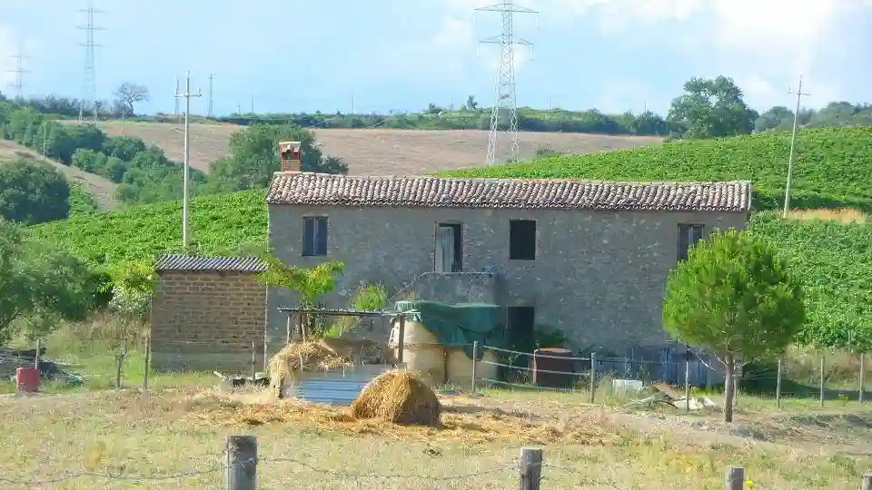 Rustico - Casale - foto 3