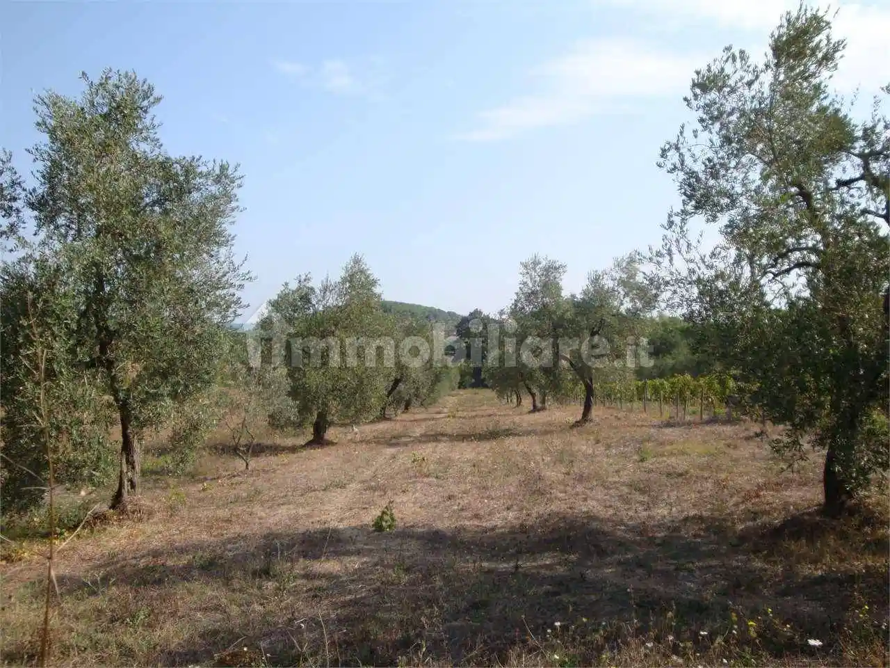 Appartamento in vendita a Suvereto