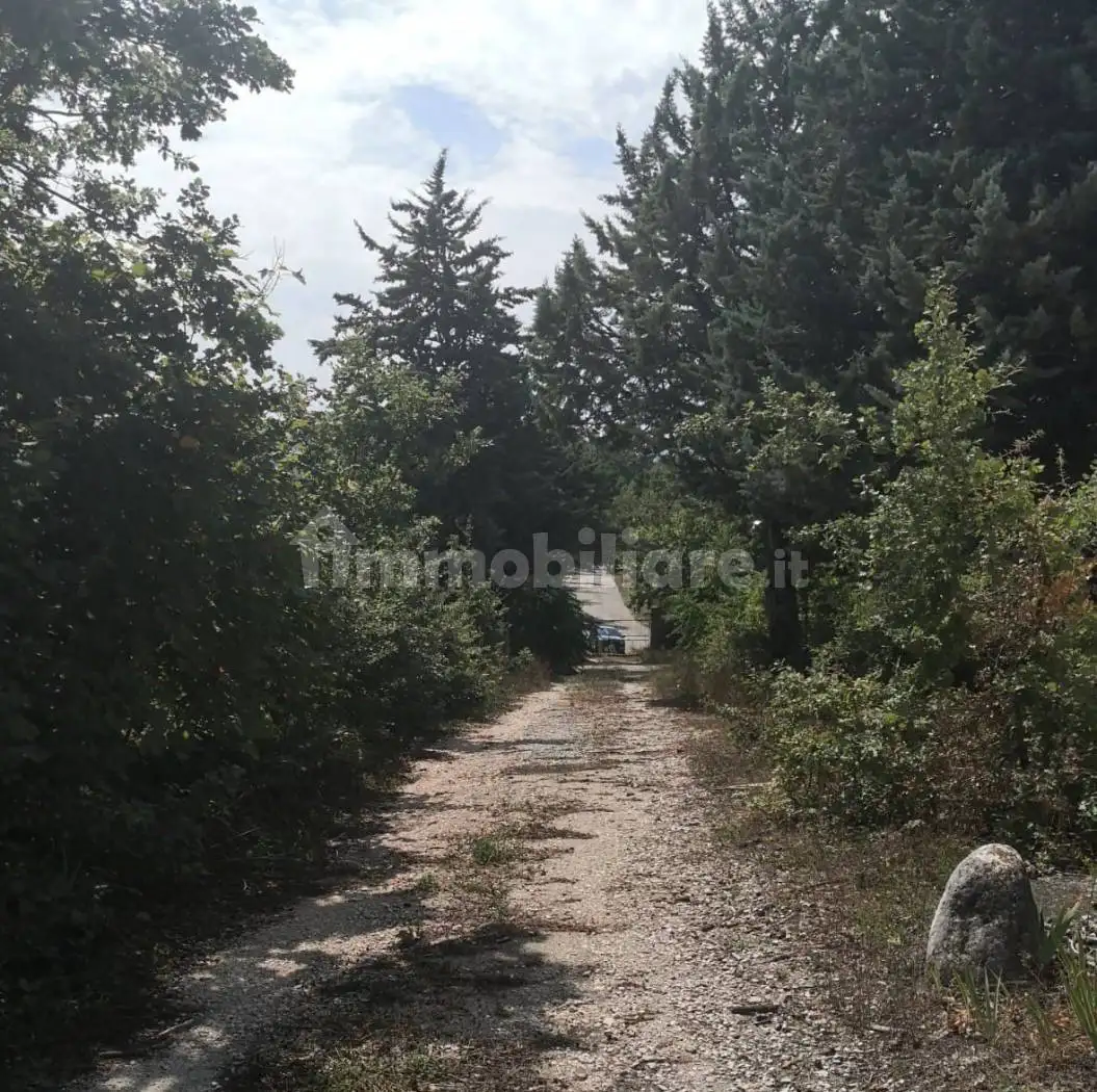 Casale località Orsoni snc, Bagnoli del Trigno - foto 2