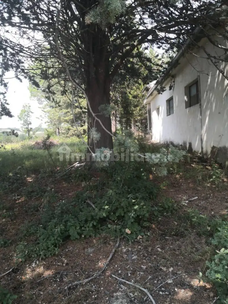 Casale località Orsoni snc, Bagnoli del Trigno - foto 3