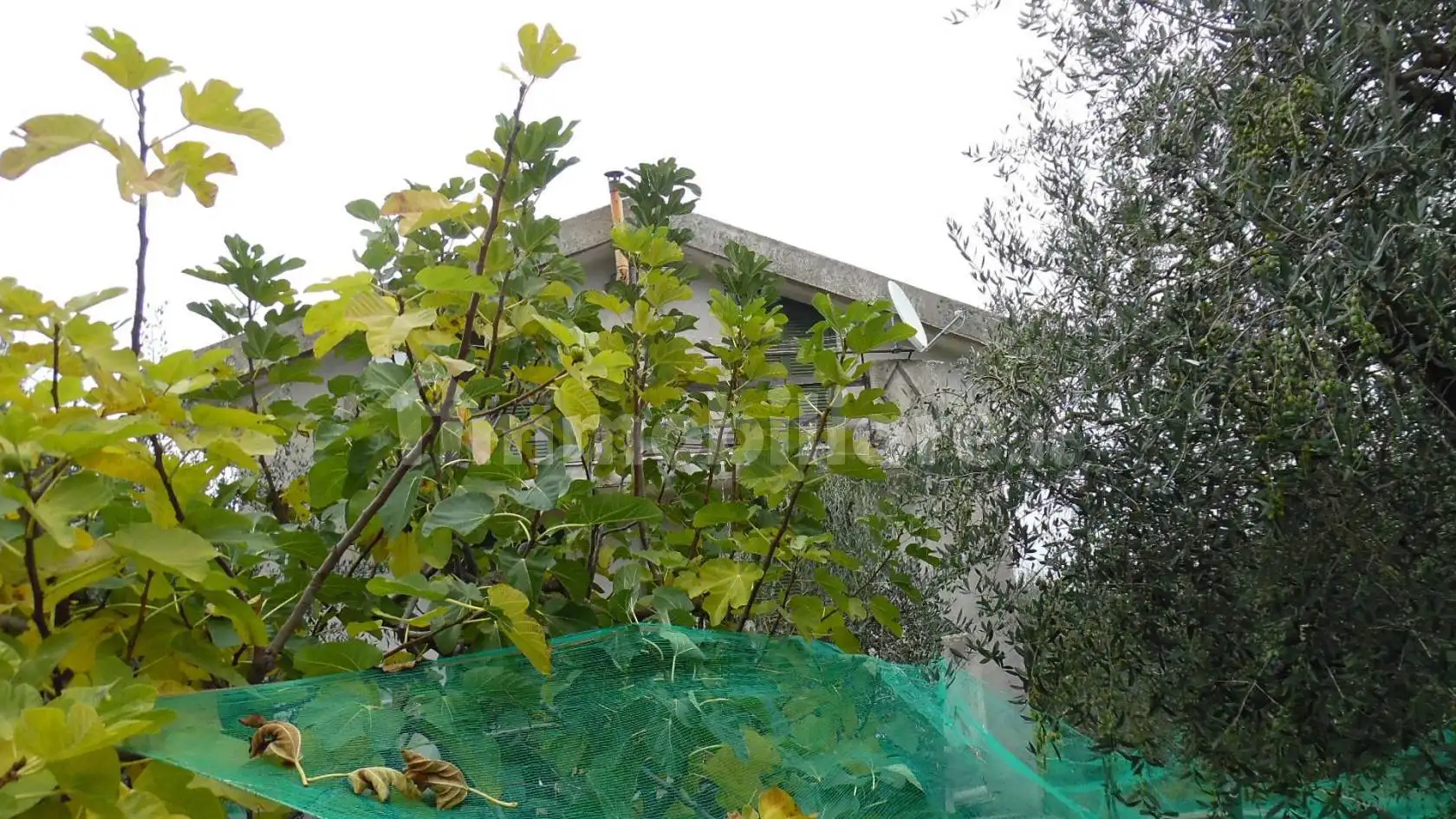 Terratetto plurifamiliare 155 m², Calabritto - foto 4