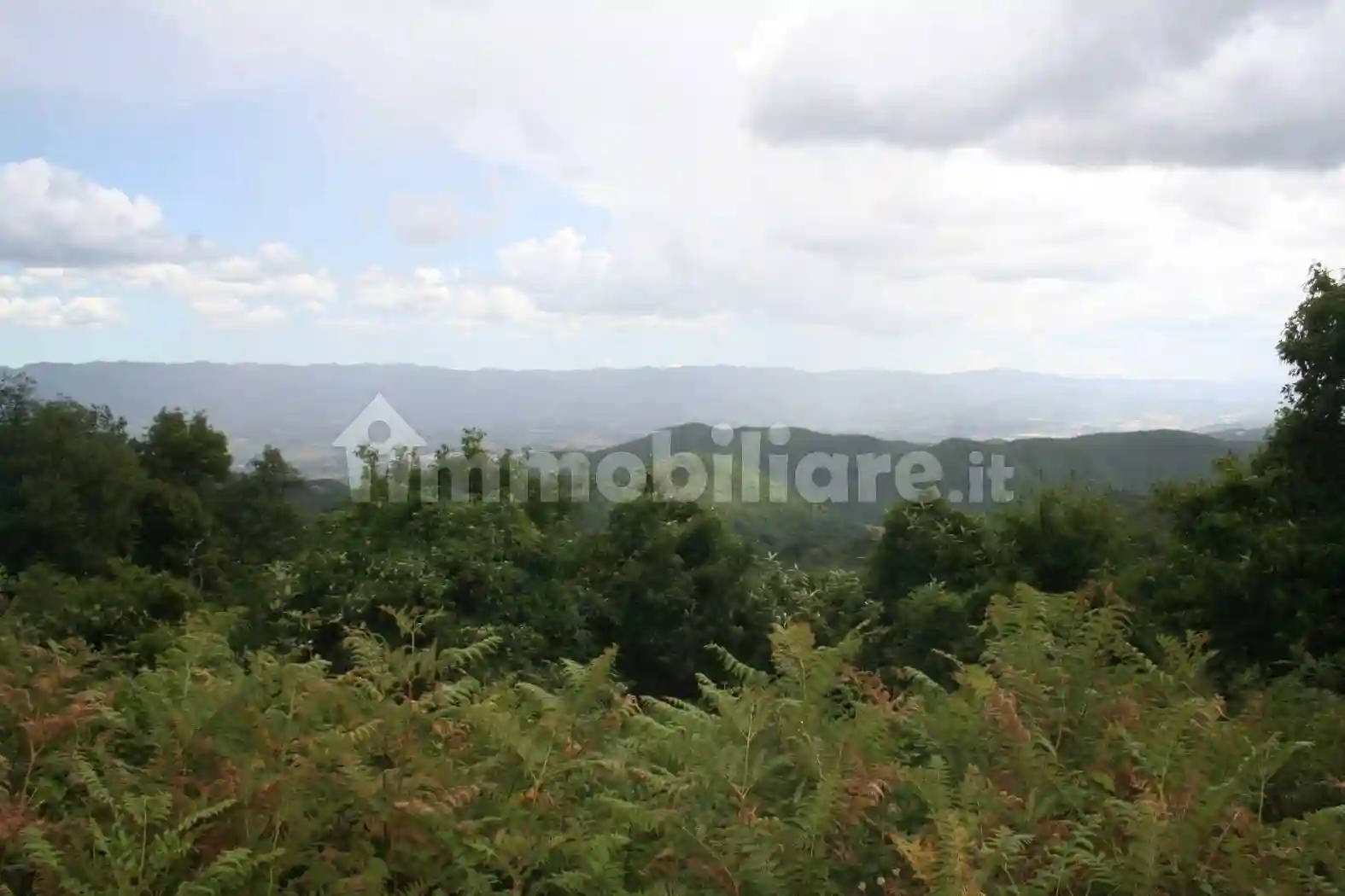 Palazzo - Edificio - foto 3