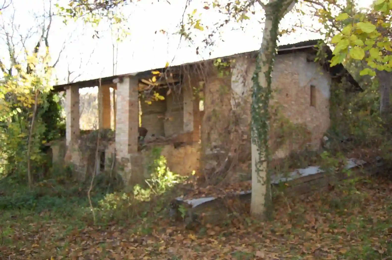 Rustico - Casale - foto 4