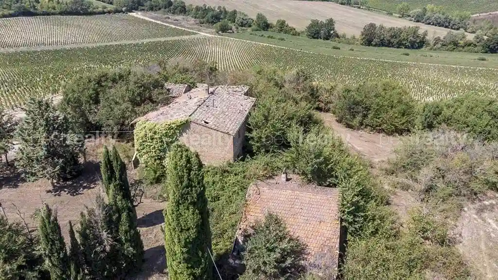 Rustico - Casale - foto 2