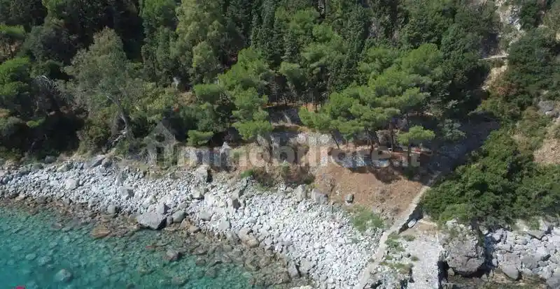 Palazzo - Edificio in Vendita - foto 3