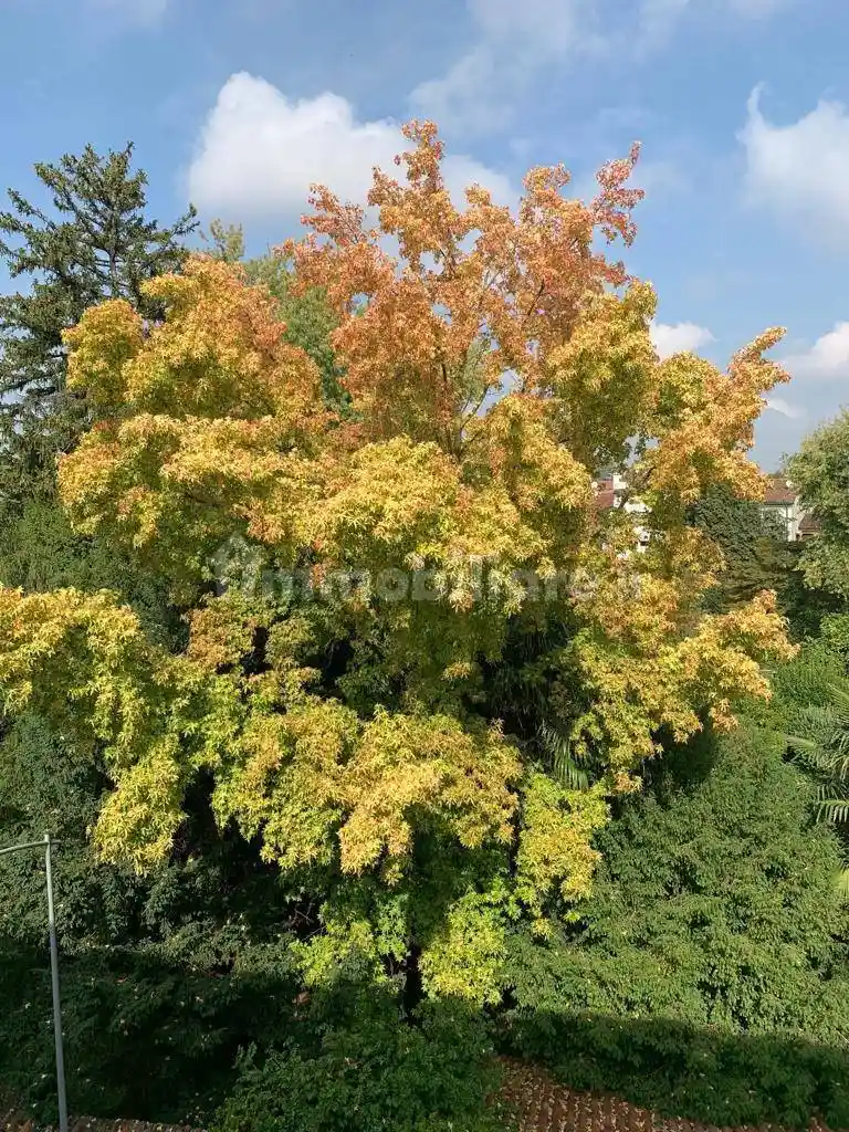 Appartamento in affitto a Vicenza