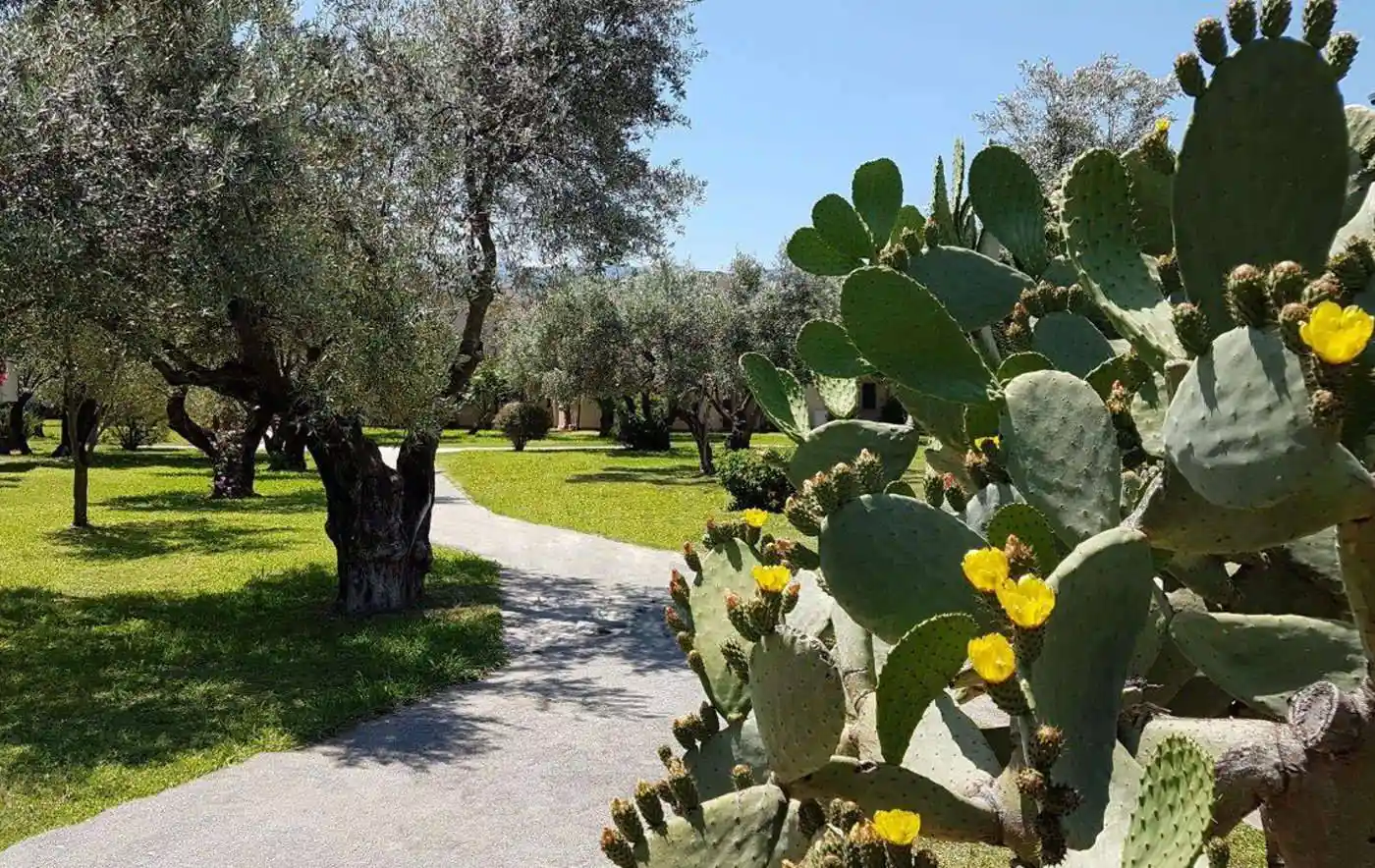 Bilocale nuovo, primo piano, Sant'Andrea Apostolo dello Ionio - foto 2