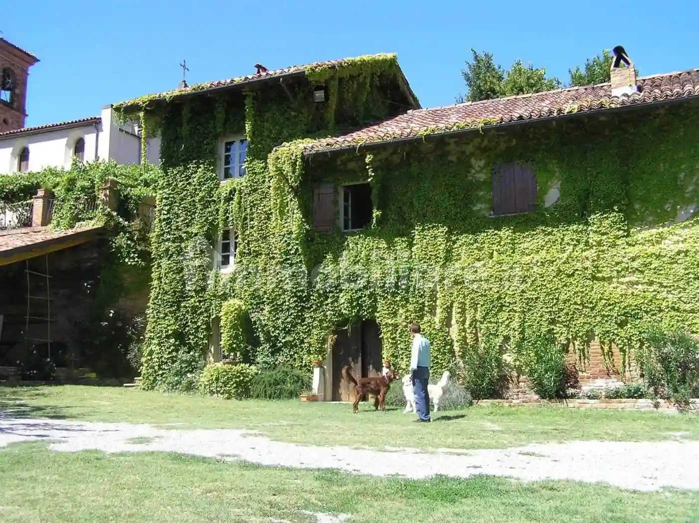 Rustico - Casale - foto 4