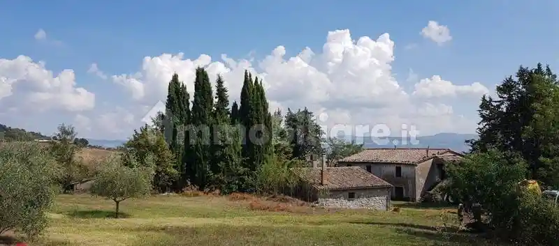 Rustico - Casale in vendita a Castell'Azzara