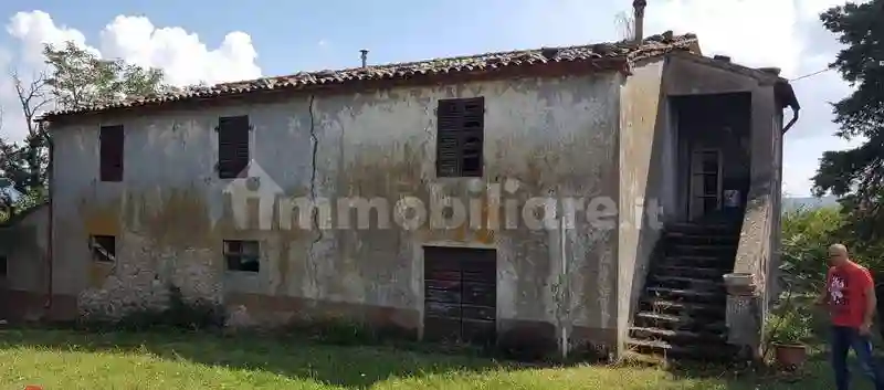 Rustico - Casale - foto 5