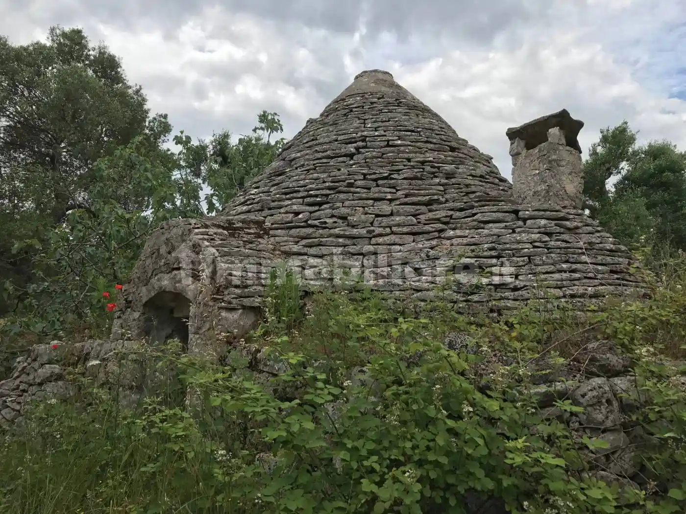 Rustico - Casale in vendita a Ceglie Messapica