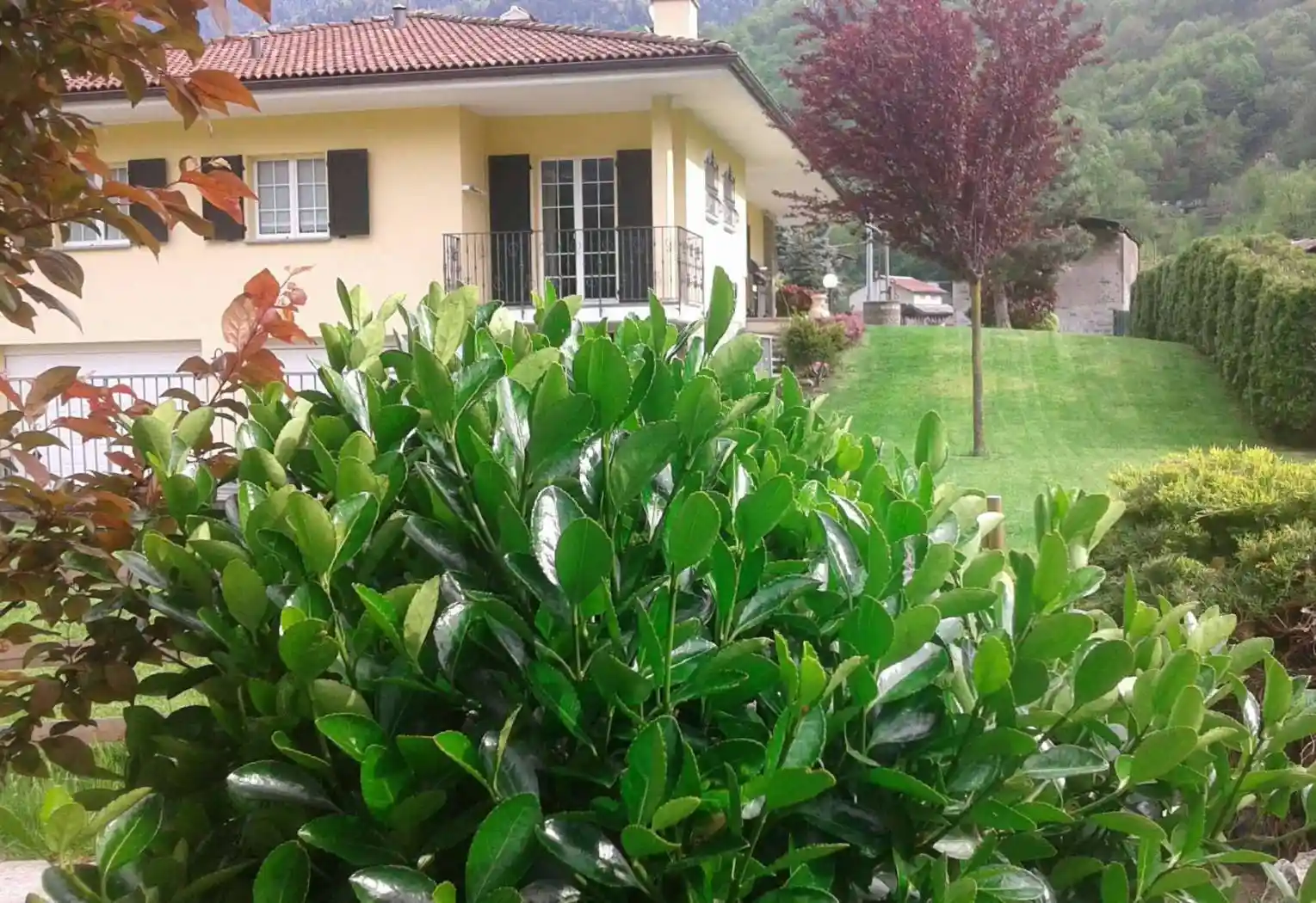 Villa unifamiliare via Piano 5/B, Case Del Piano, Castello dell'Acqua - foto 5