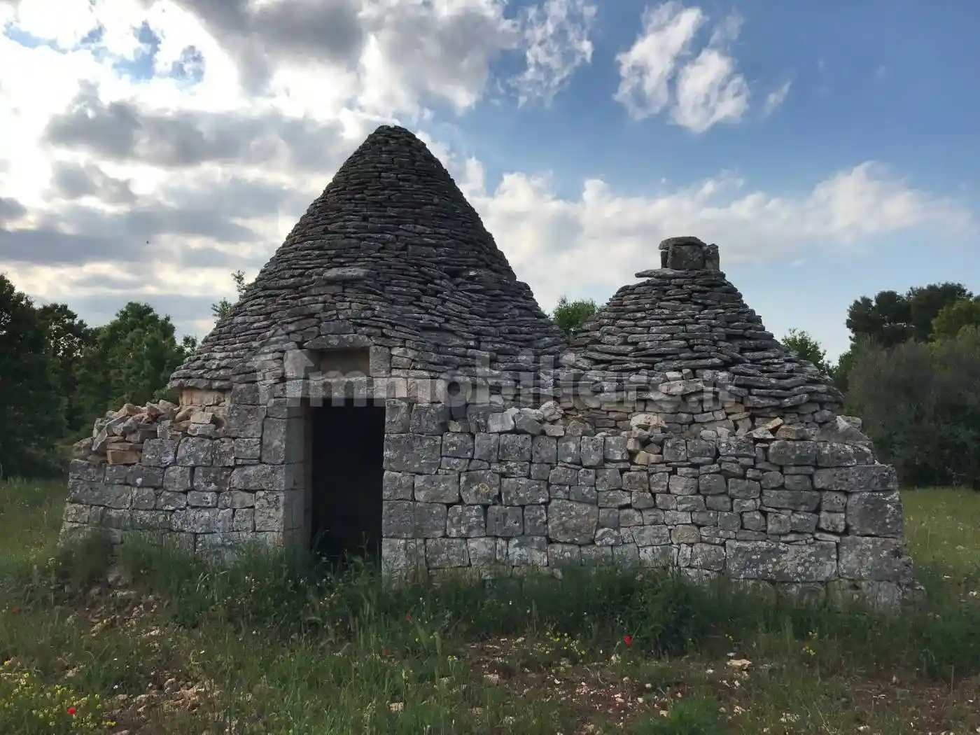 Rustico - Casale in vendita a Ceglie Messapica