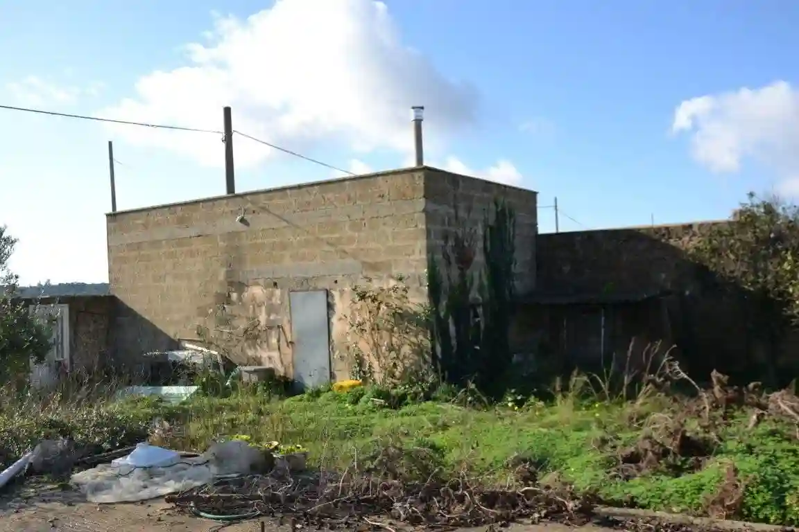 Rustico - Casale - foto 3