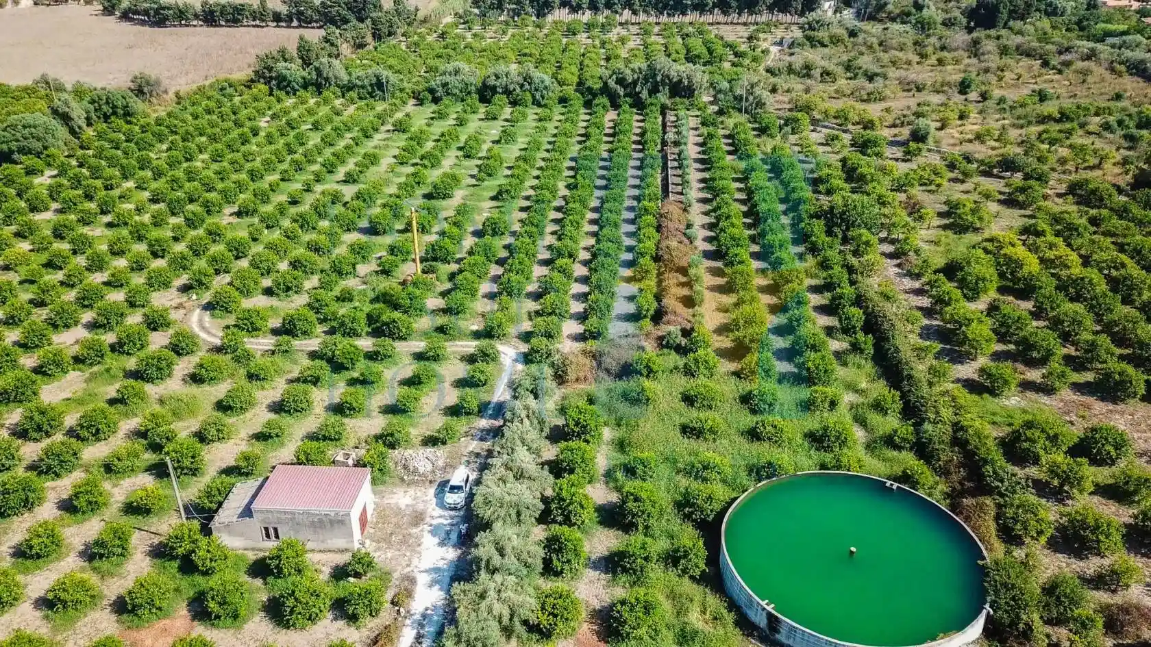 Rustico - Casale in vendita a Avola