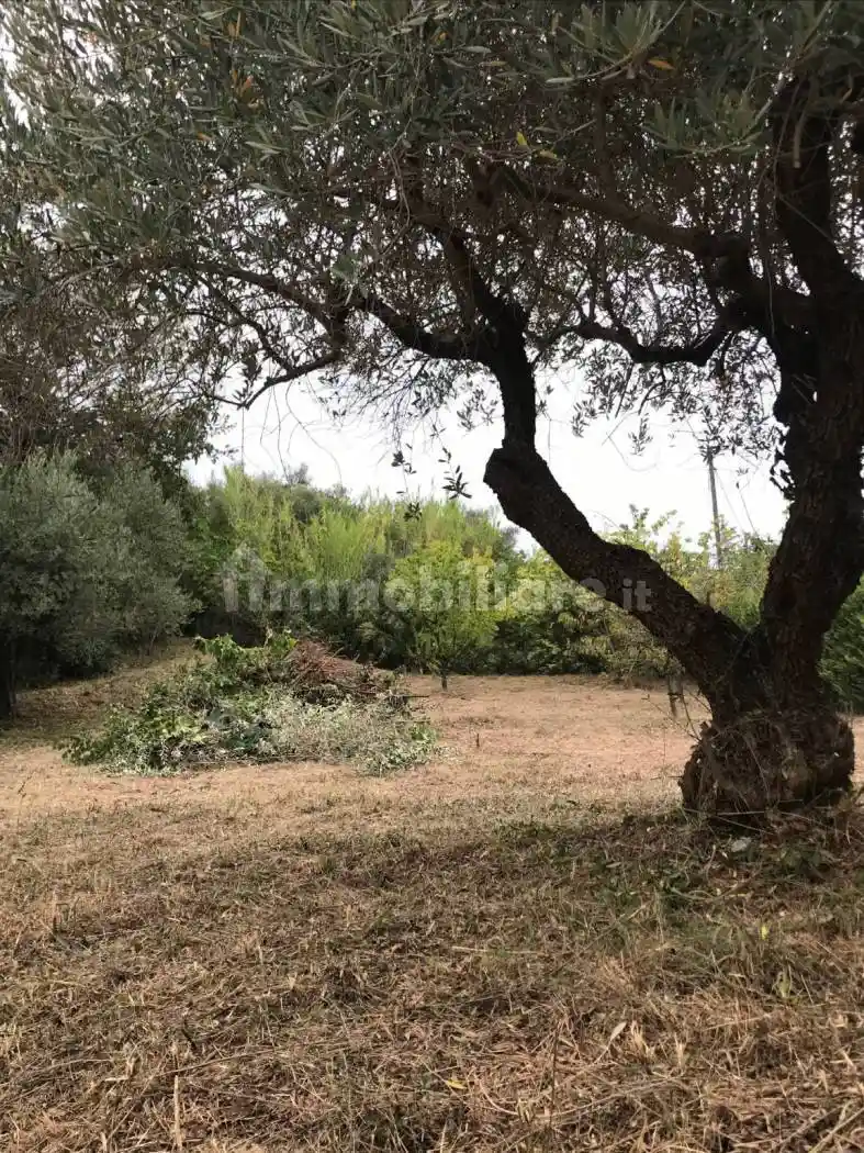 Villa unifamiliare Strada Solferino, Chieti Città, Chieti - foto 3