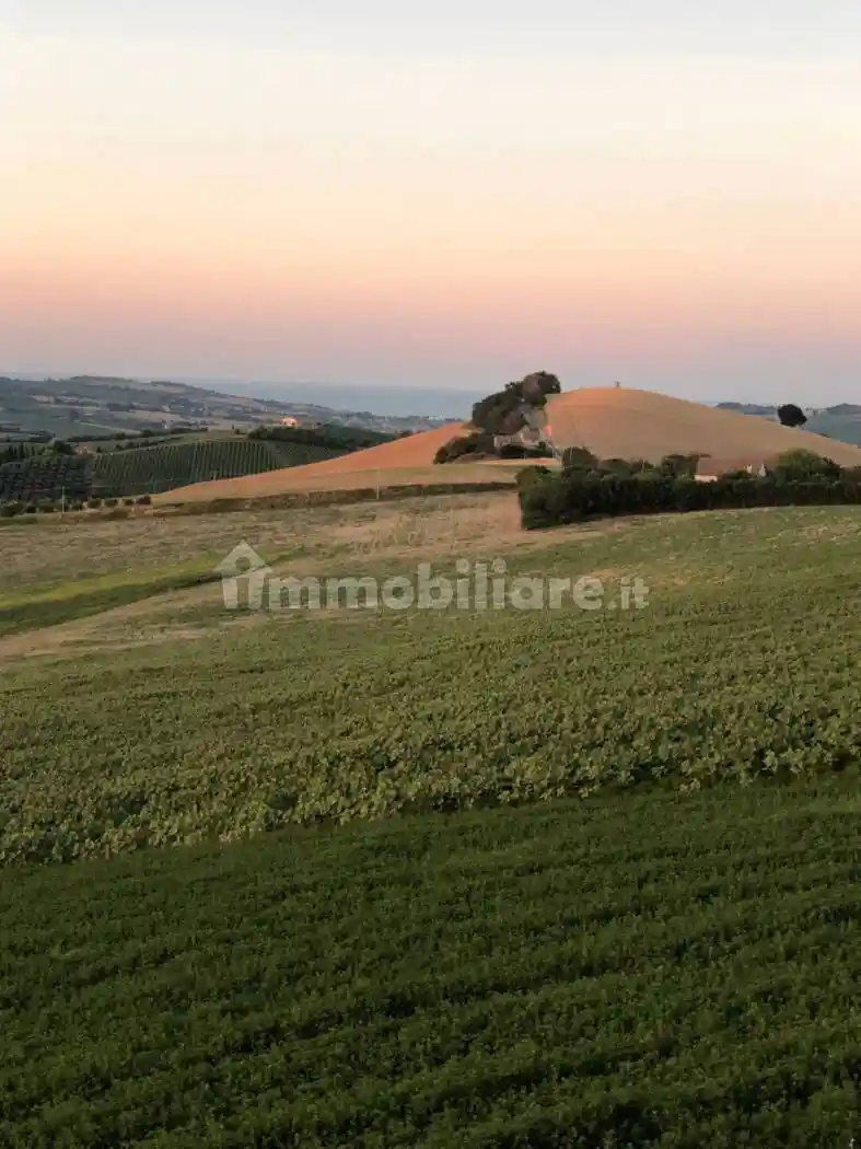 Rustico - Casale in vendita a Monterubbiano
