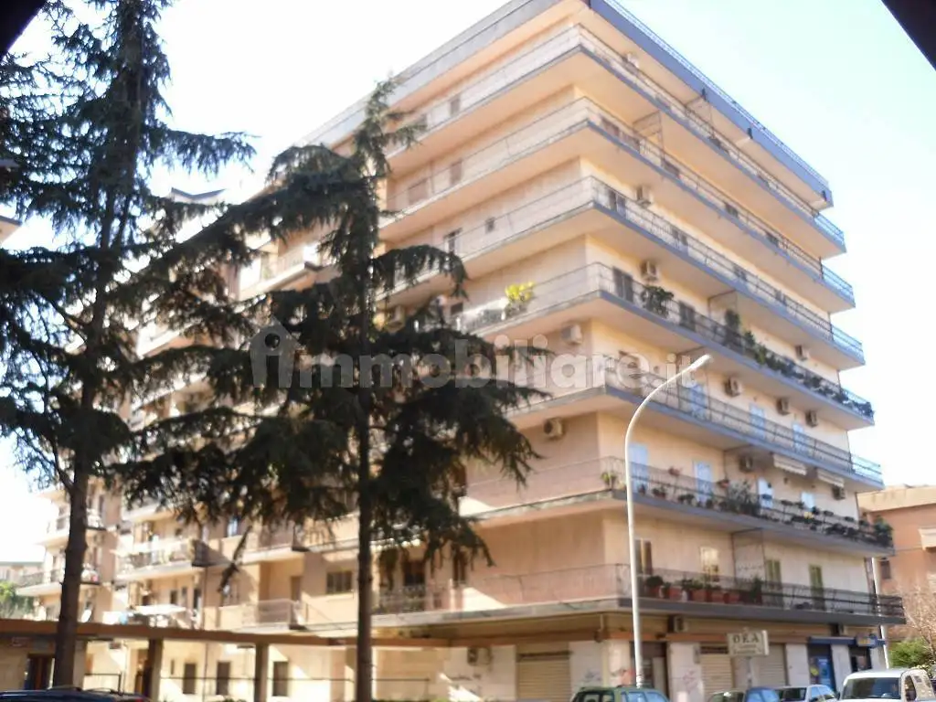 Appartamento in affitto a Foggia