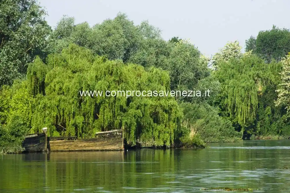 Casa indipendente in vendita a Casier
