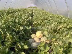 Appartamento in vendita a Venezia