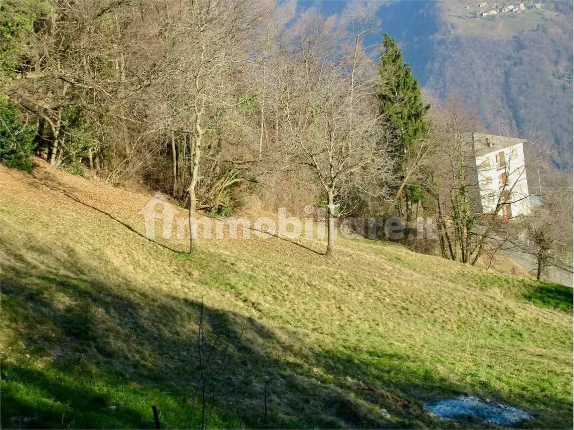Rustico, da ristrutturare, 50 m², Blello - foto 4