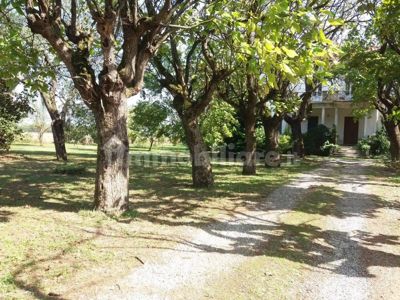 Casa indipendente in vendita a Castelnuovo Scrivia