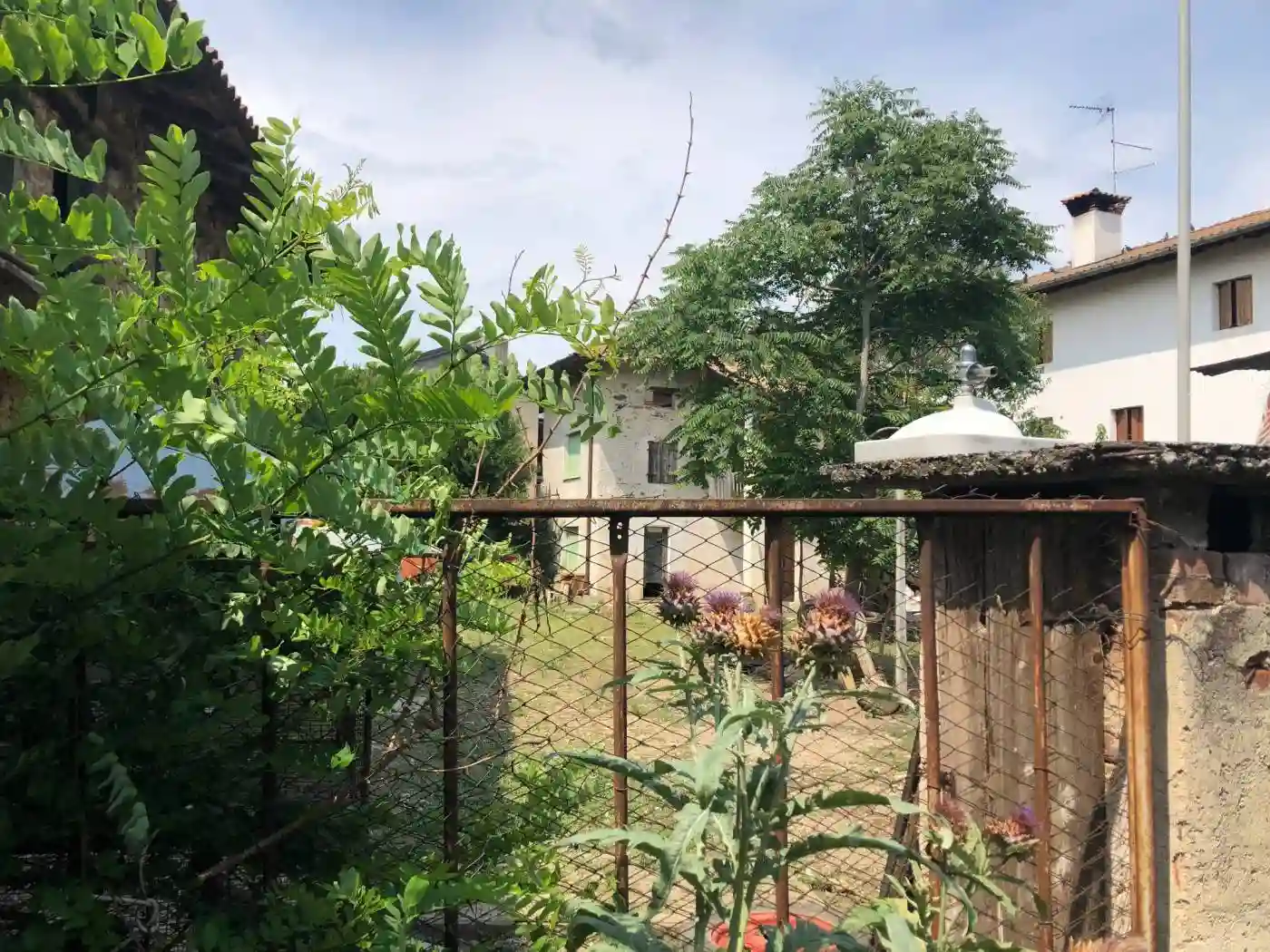 Rustico - Casale - foto 4