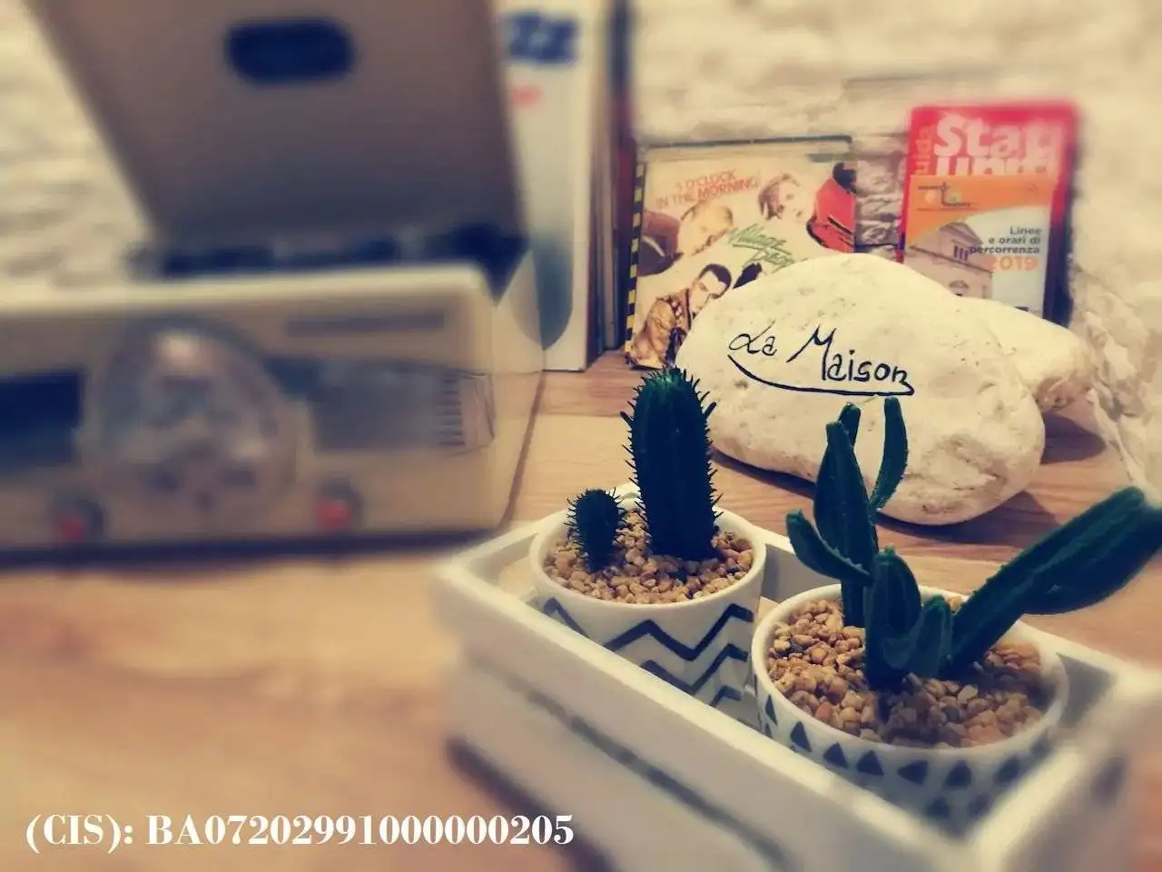 Appartamento in affitto a Molfetta