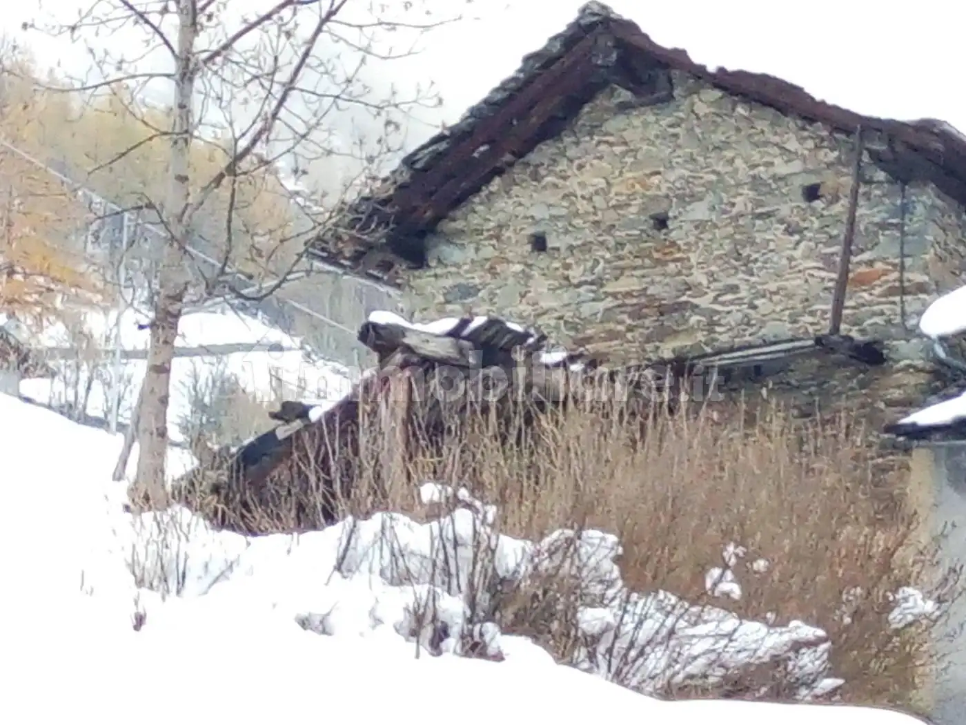 Casa indipendente in vendita a Saint-Oyen