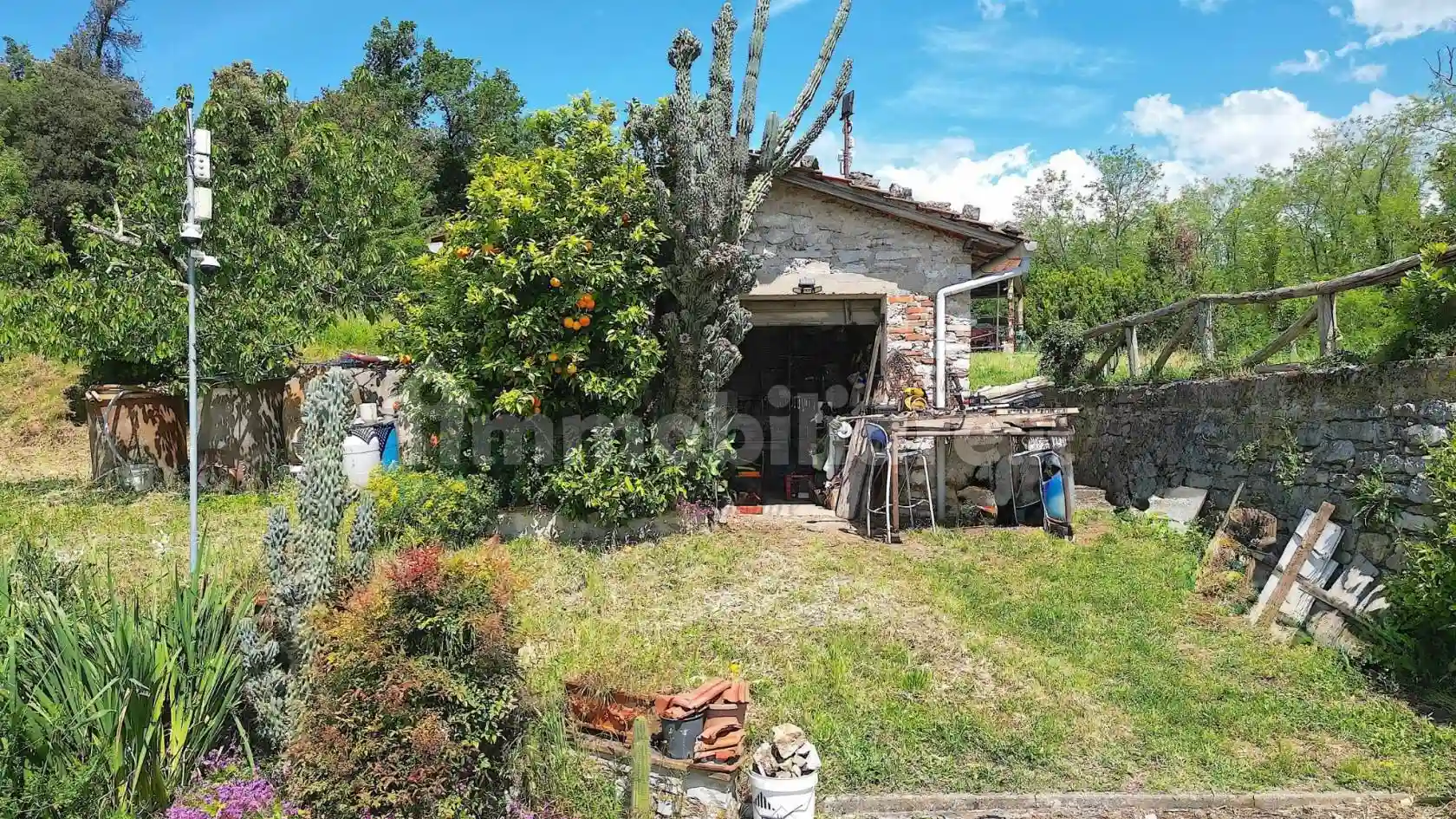 Rustico - Casale - foto 5