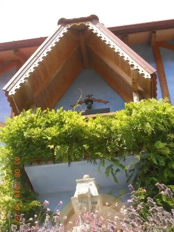 Palazzo - Edificio - foto 4