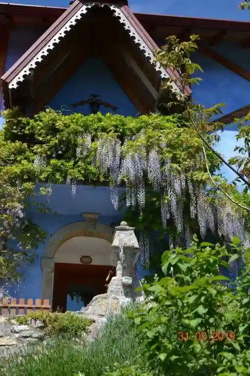 Palazzo - Edificio - foto 5