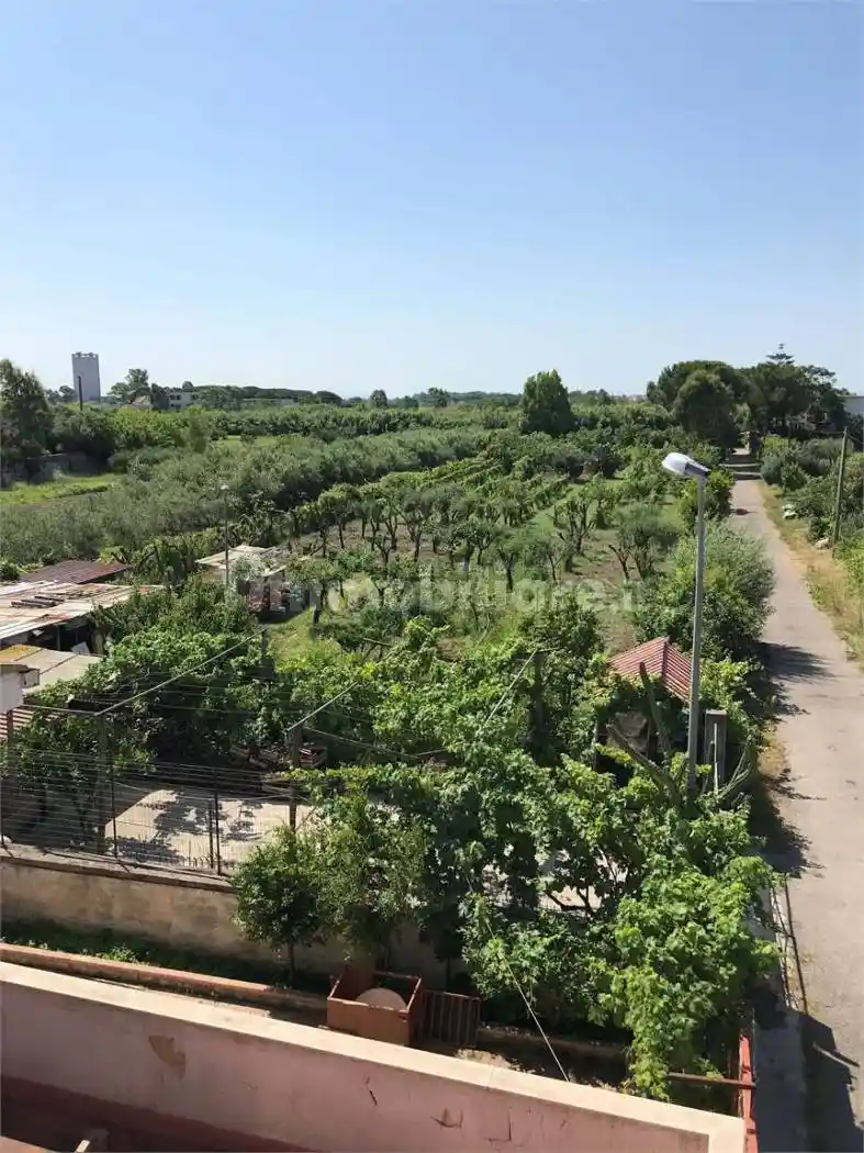 Palazzo - Edificio - foto 3