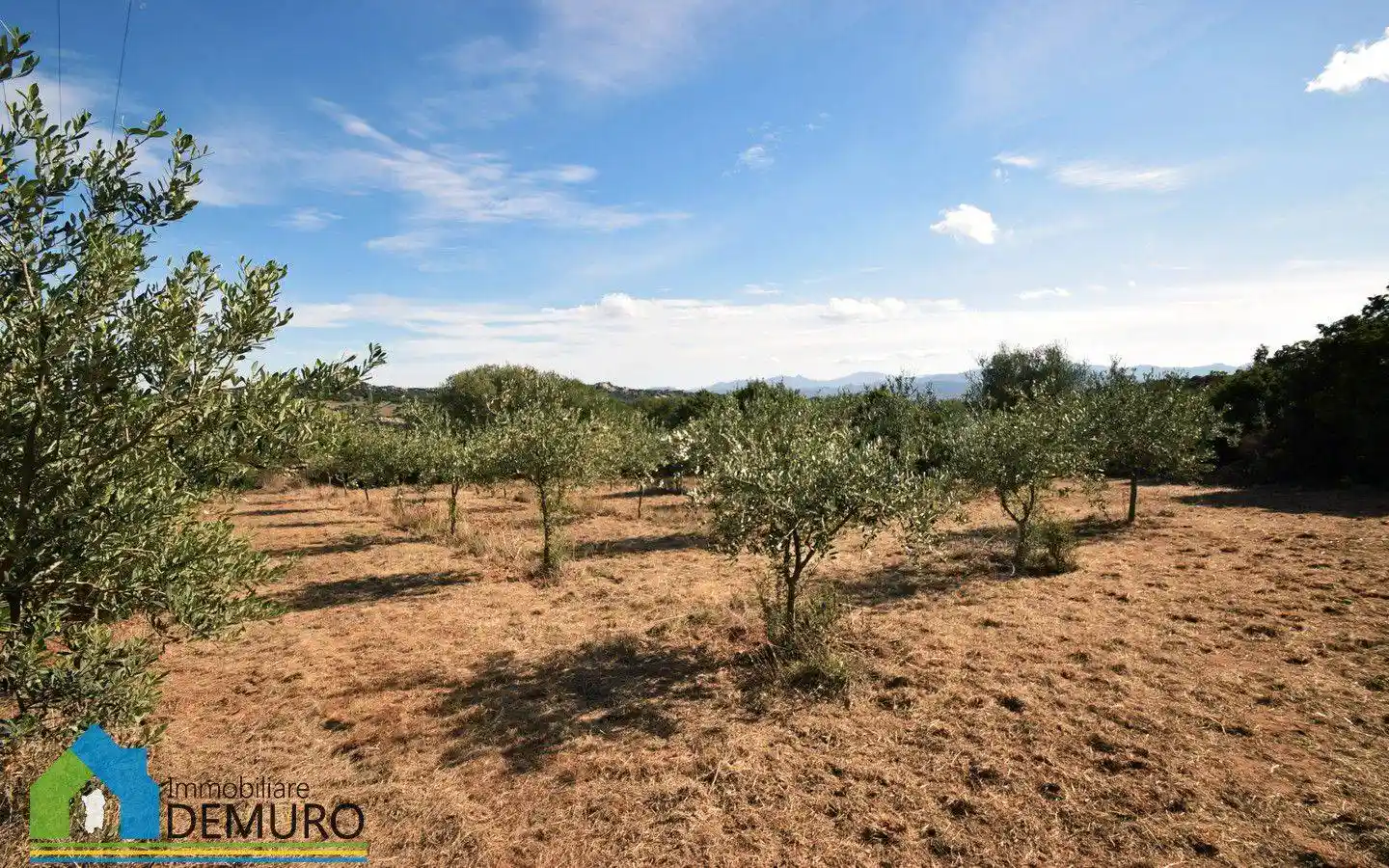Casale via Raica, Mannazzu, Putzolu, Olbia - foto 3