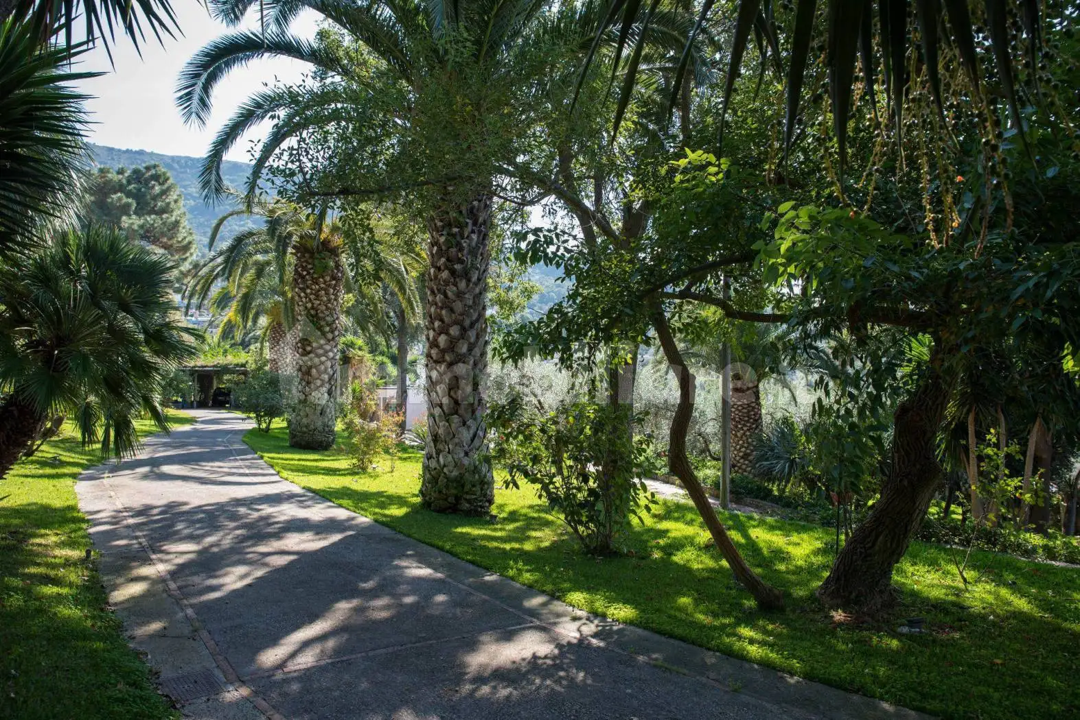 Villa plurifamiliare via Ceselle 1, Anacapri - foto 2