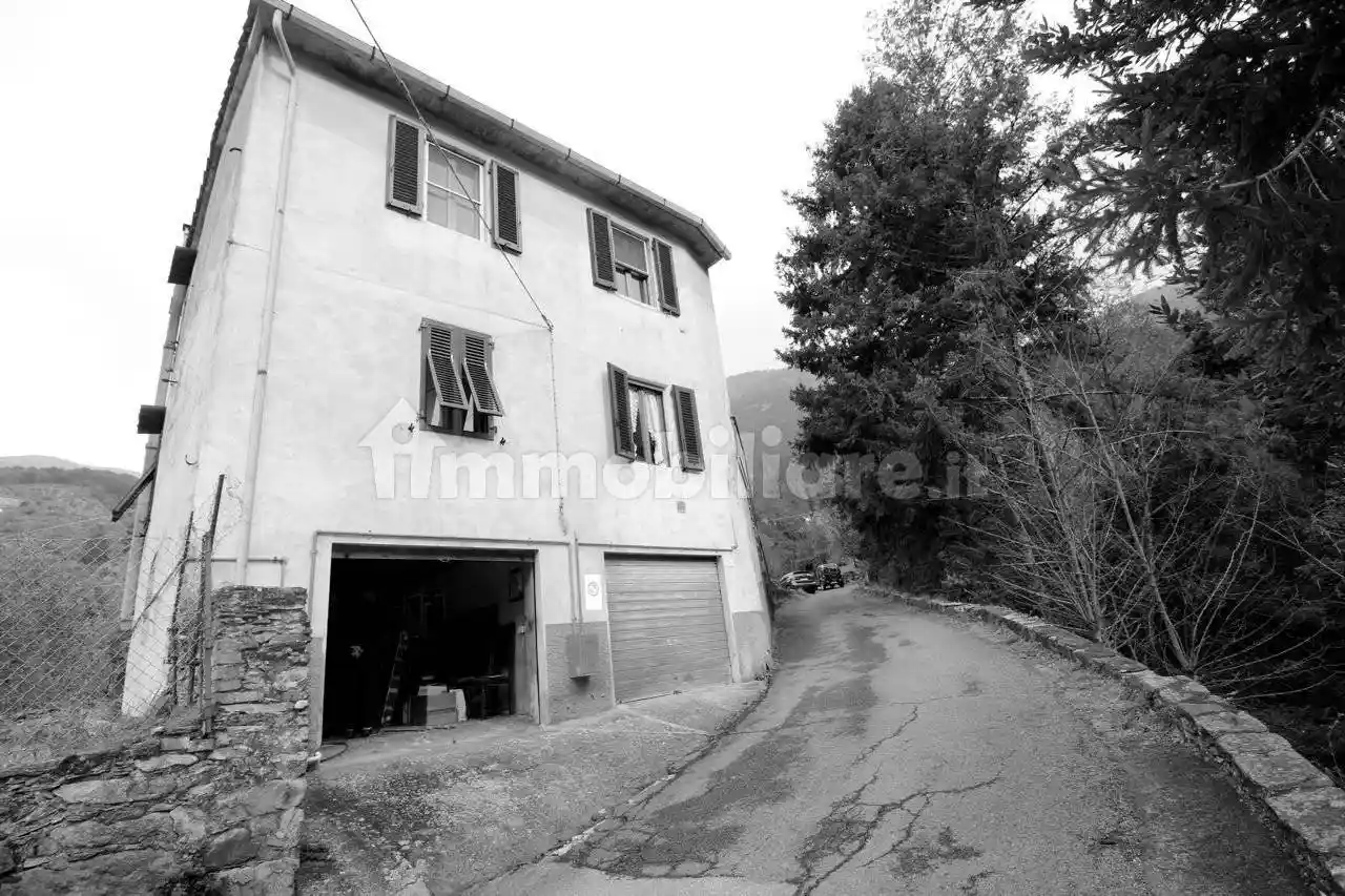 Rustico - Casale in vendita a Calci