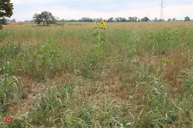 Rustico - Casale in vendita a Reggio Emilia