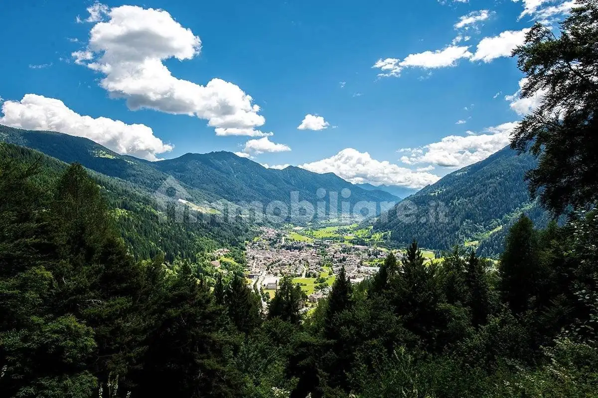 Palazzo - Edificio in vendita a Carisolo