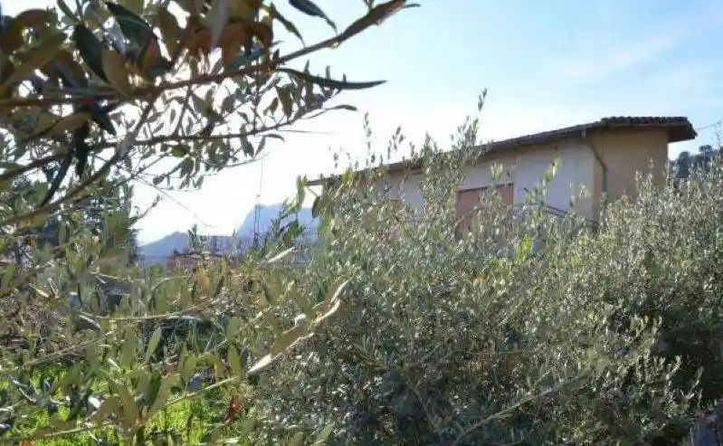 Casa indipendente in vendita a Monreale