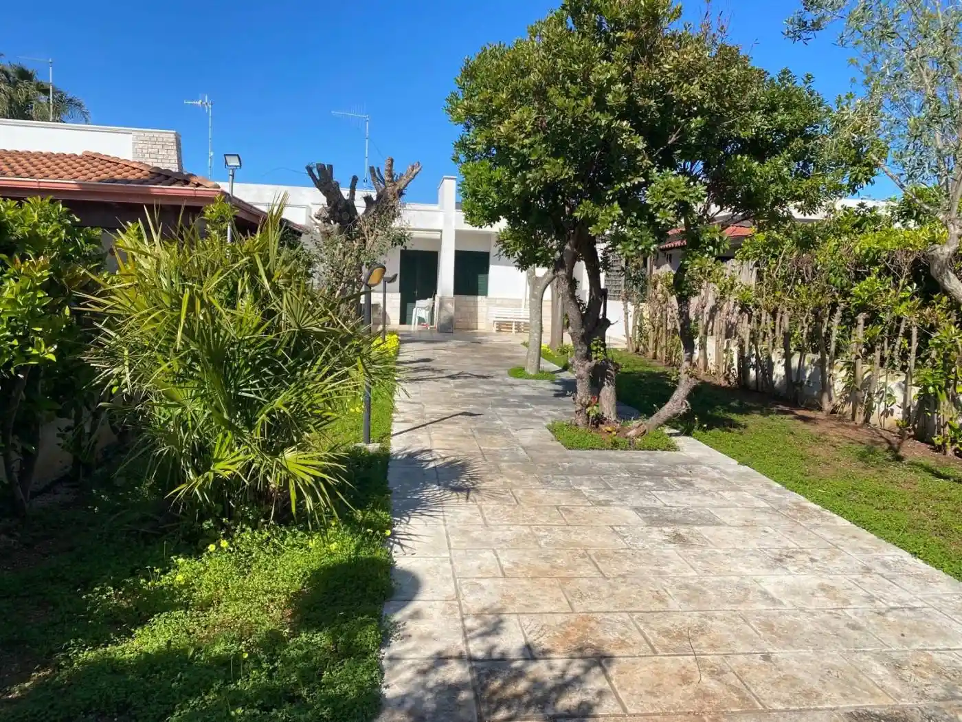 Villetta a schiera in affitto a Carovigno