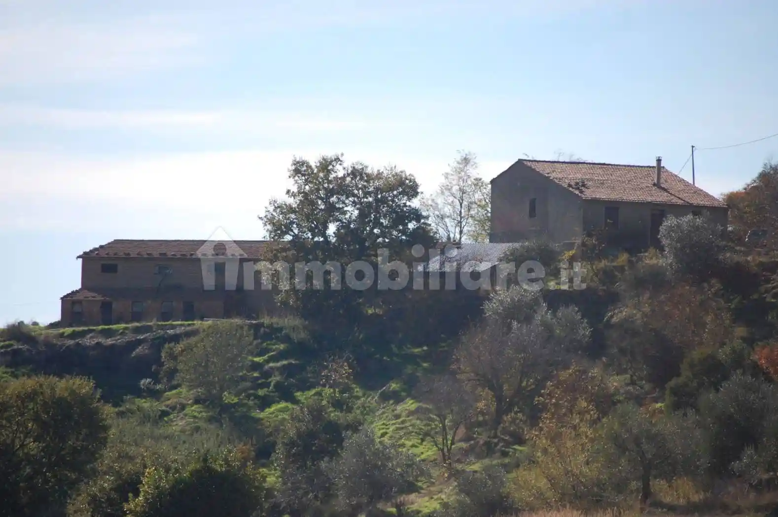 Rustico - Casale in vendita a Cinigiano