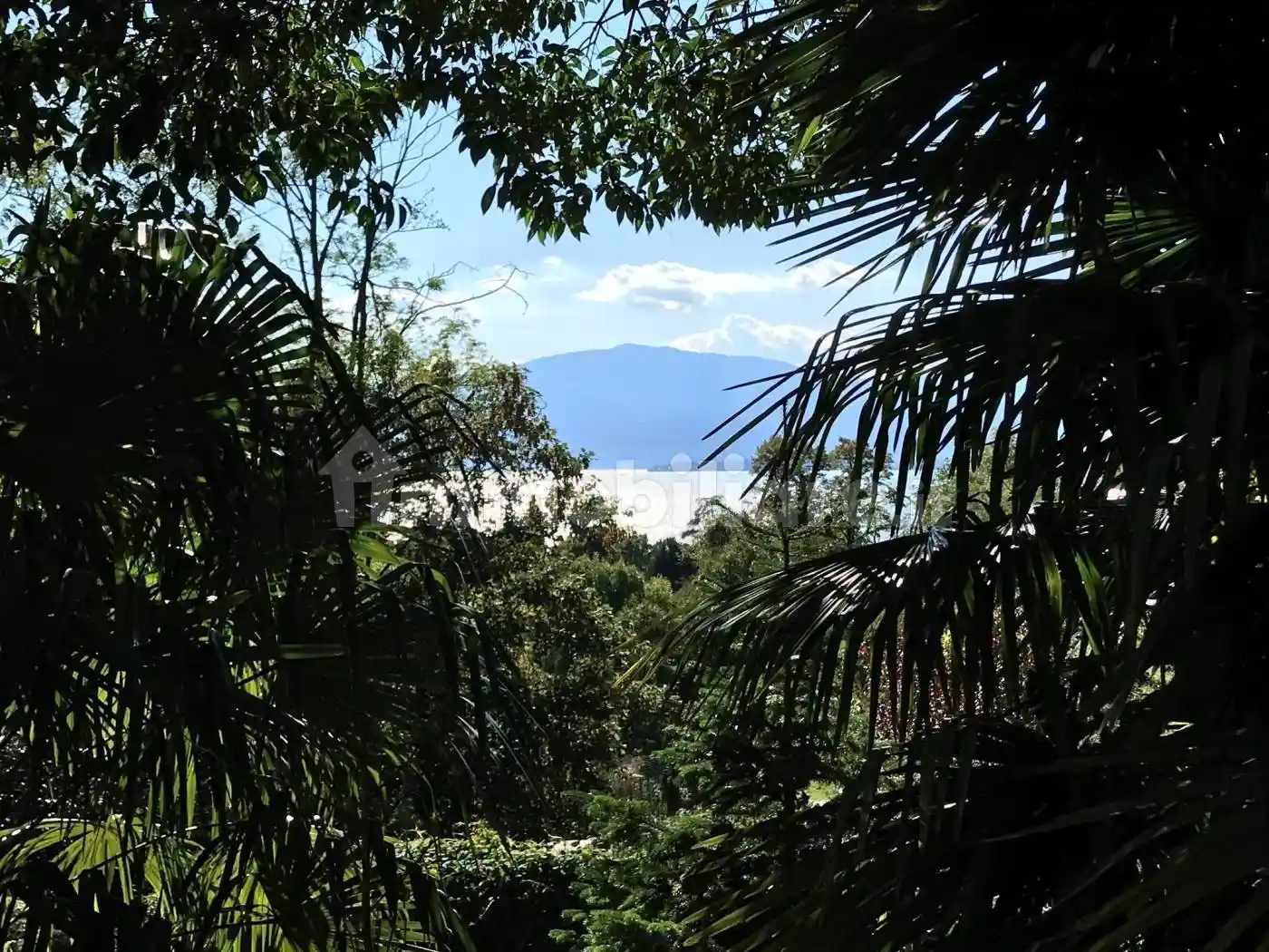 Palazzo - Edificio in Vendita - foto 3