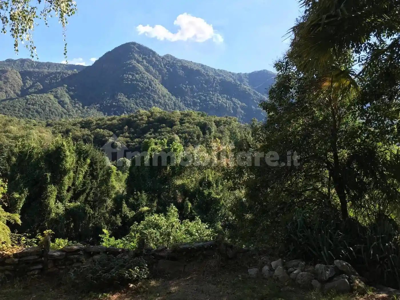 Palazzo - Edificio in Vendita - foto 4