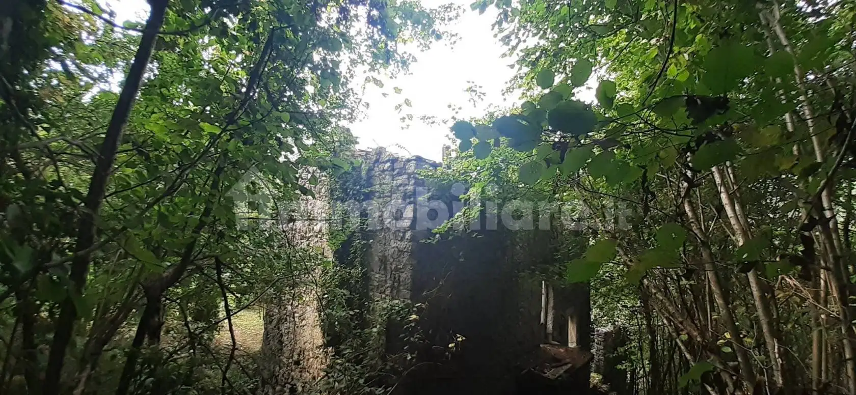 Rustico - Casale in vendita a Bracca