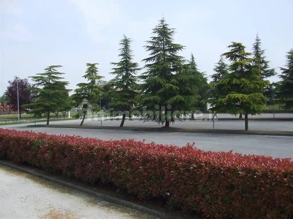 Albergo in Vendita - foto 5