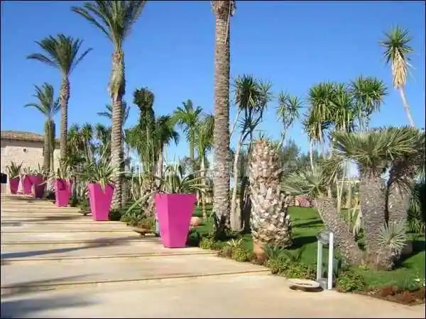 Casale Strada Provinciale 43, San Filippo, Modica - foto 5