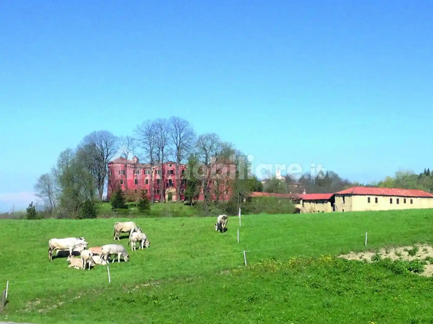 Rustico - Casale in vendita a Sale delle Langhe