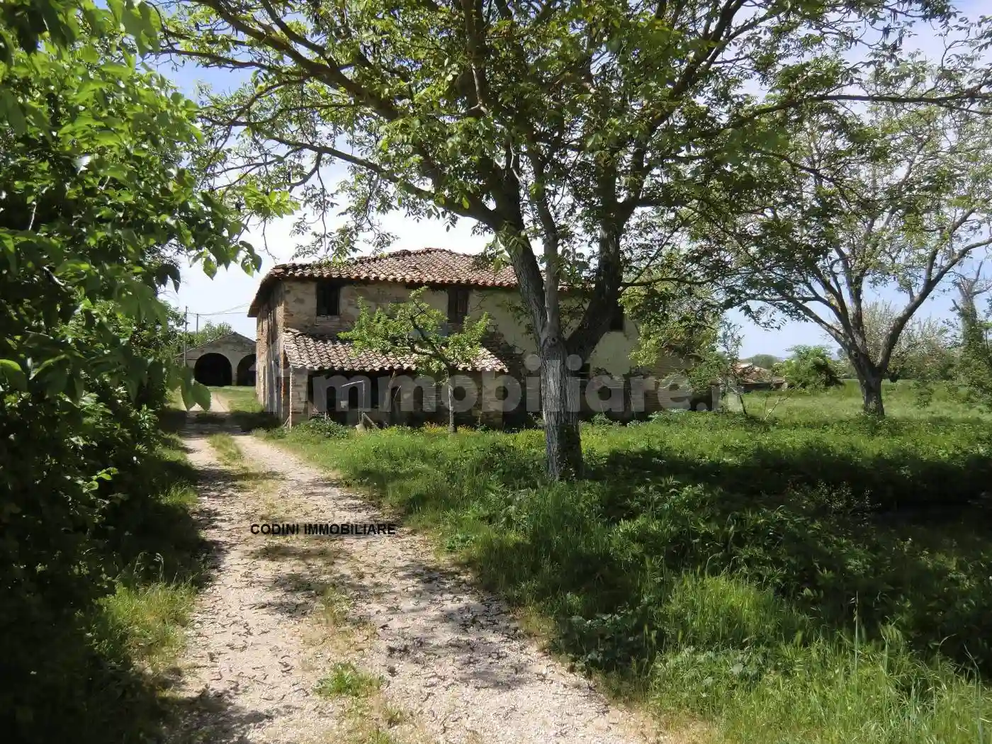 Rustico - Casale - foto 4